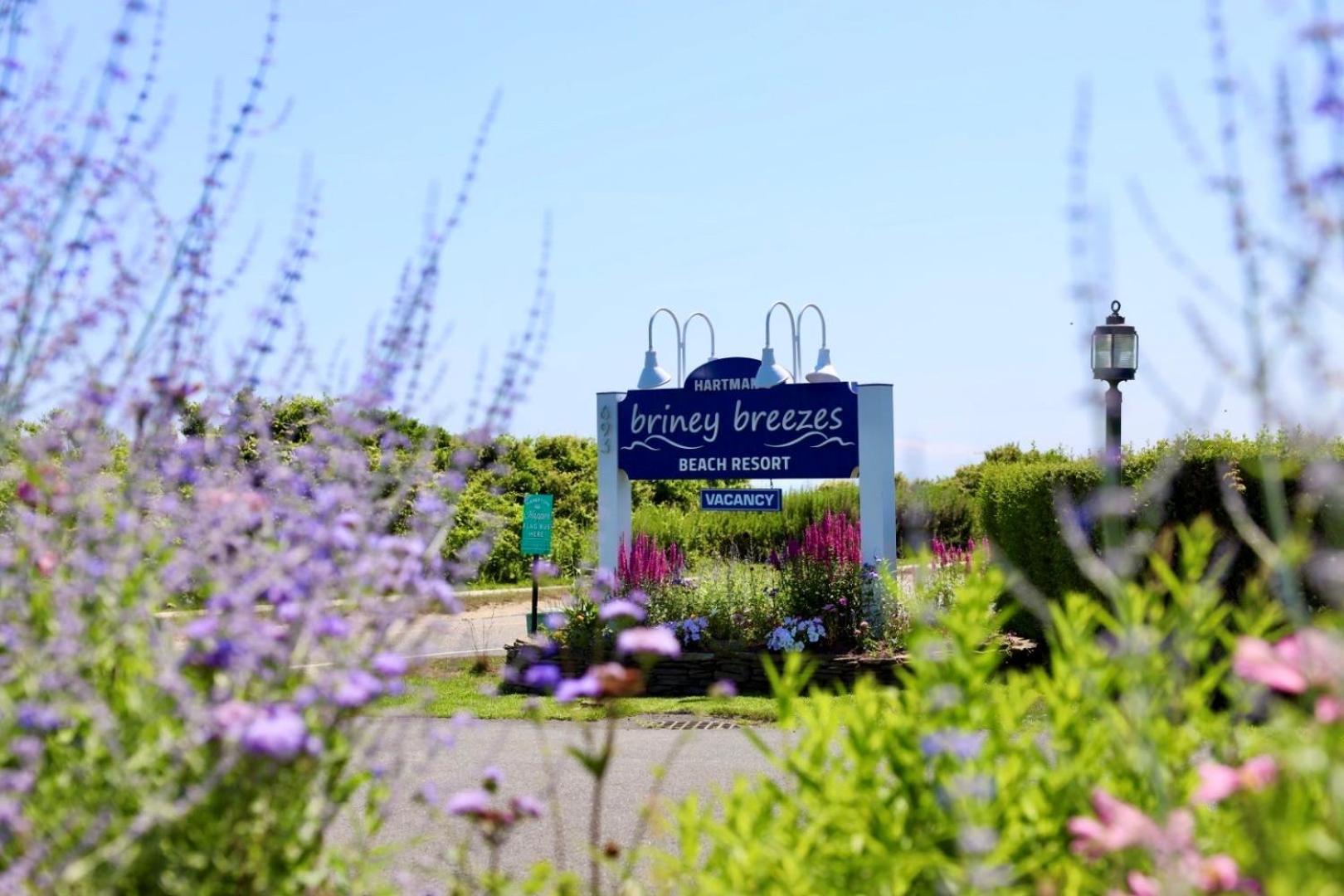 Hartman'S Briney Breezes Beach Resort Montauk Bagian luar foto
